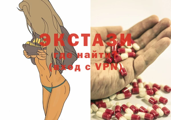 ECSTASY Бородино